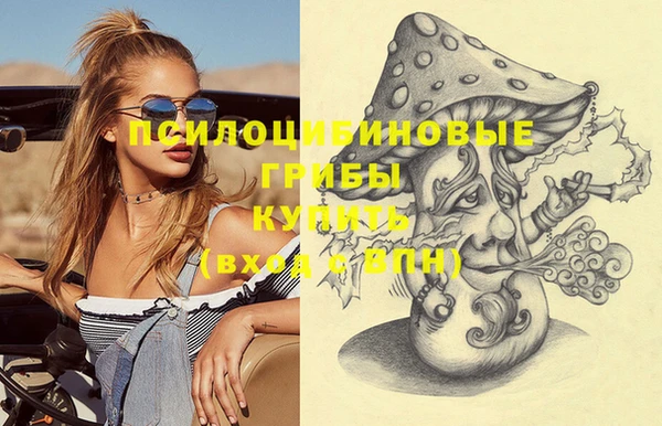 твердый Чита