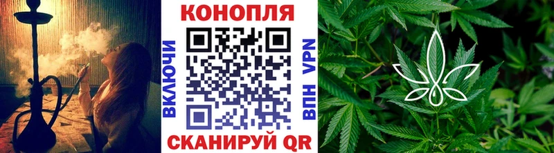 Каннабис SATIVA & INDICA  наркошоп  Суджа 